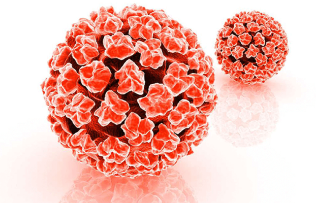 Genital Siğil (HPV) Nedir?