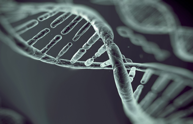 The relationship between obesity and cancer