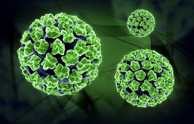 HPV Enfeksiyonları